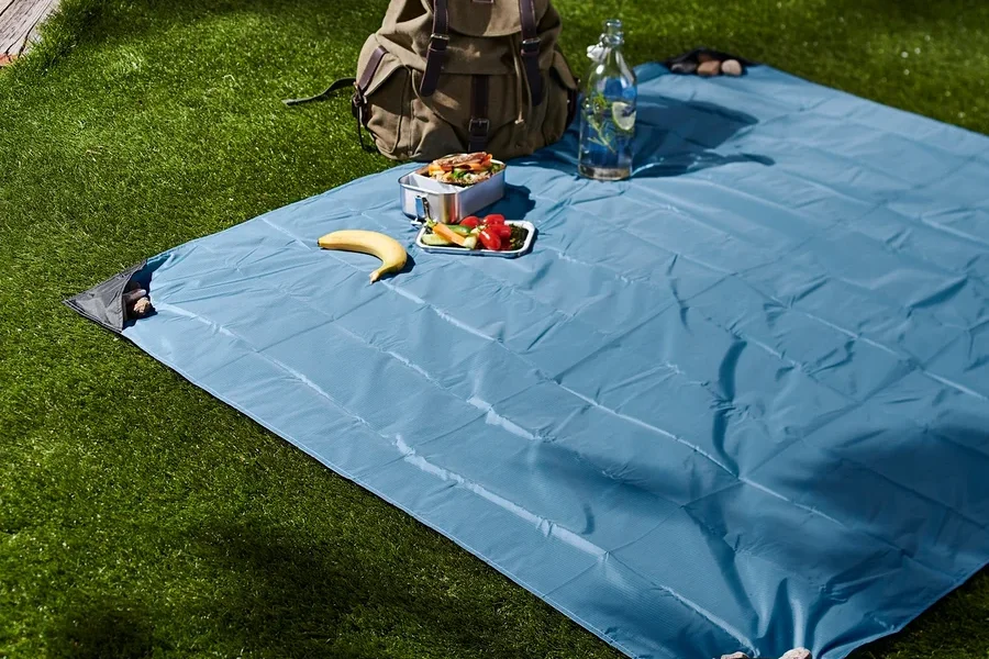 Auf einer Wiese liegt eine blaue Mini-Picknickdecke. Darauf liegen Proviant, eine Banane und eine Wasserflasche. Im Hintergrund steht ein Rucksack.