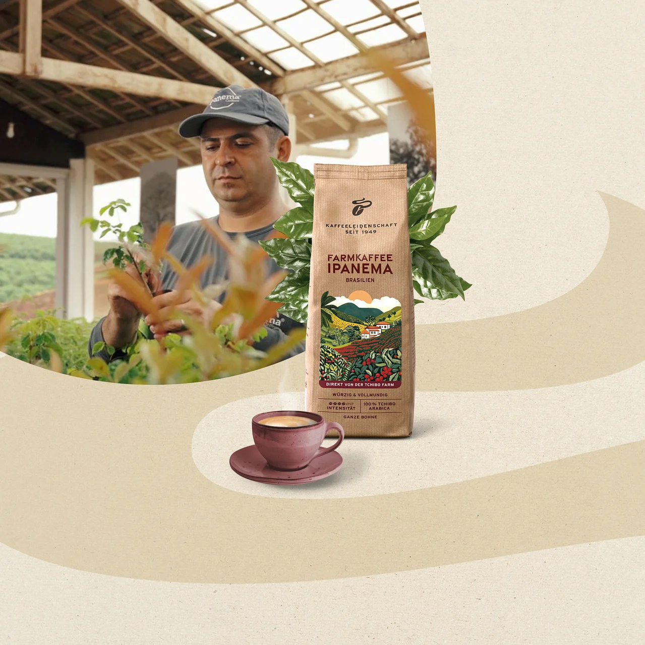Ein Mann mit Kappe pflegt Pflanzen. Daneben eine Packung Tchibo Ipanema Farmkaffee Brasilien 100% Arabica, umgeben von Kaffeeblättern, und eine dampfende Tasse Kaffee.