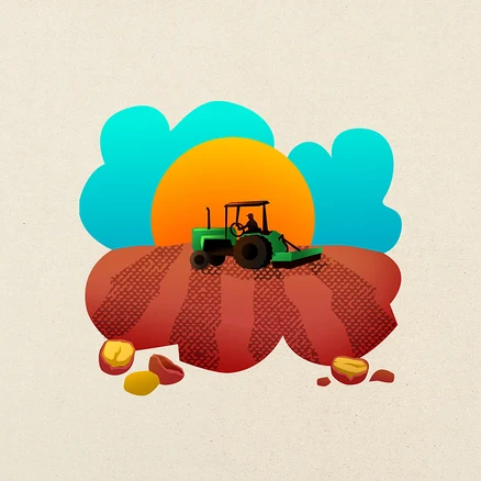 Ein grüner Traktor mit Fahrer pflügt ein rotbraunes Feld unter einer orangen Sonne und blauen Wolken. Im Vordergrund liegen mehrere Wurzelgemüse auf dem Boden.