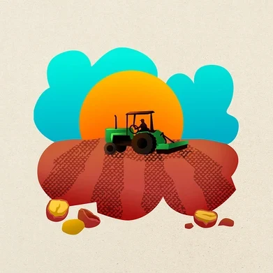 Ein grüner Traktor mit Fahrer pflügt ein rotbraunes Feld unter einer orangen Sonne und blauen Wolken. Im Vordergrund liegen mehrere Wurzelgemüse auf dem Boden.