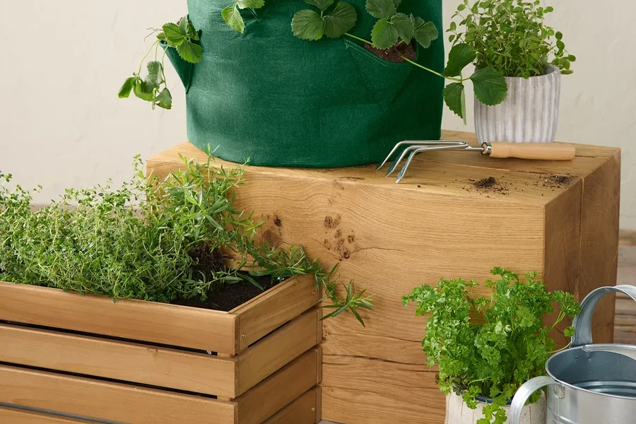 Grüne Erdbeeren-Pflanztasche mit Pflanzen auf einem Holzwürfel.