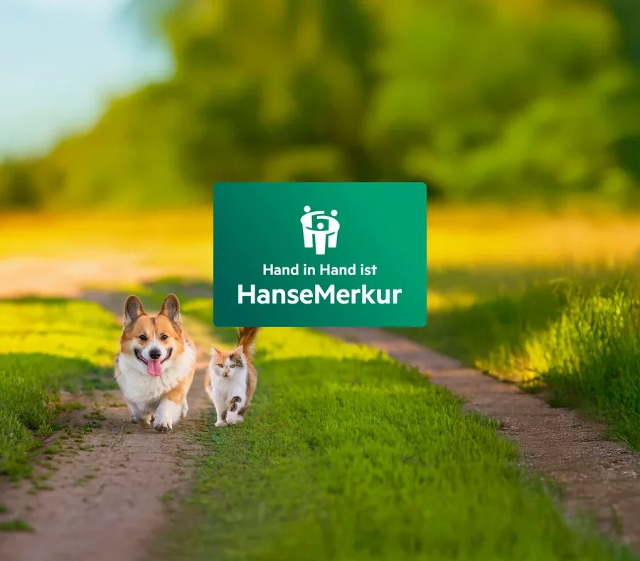 Auf einem grasbewachsenen Weg laufen ein Hund und eine Katze auf ein grünes HanseMerkur-Logo zu.