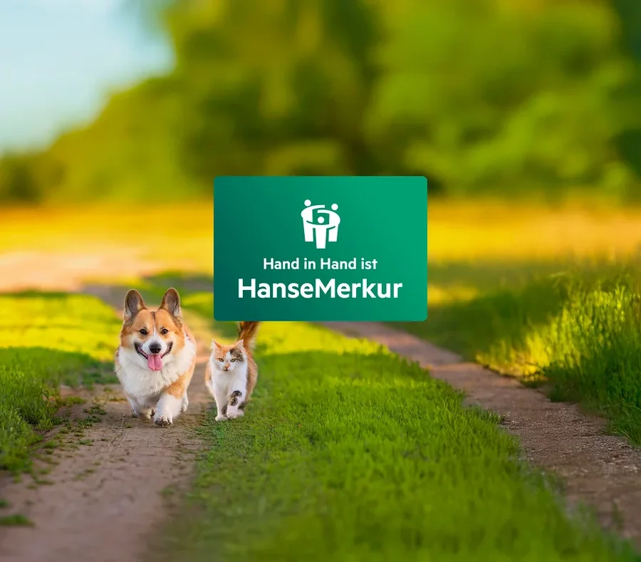 Auf einem grasbewachsenen Weg laufen ein Hund und eine Katze auf ein grünes HanseMerkur-Logo zu.