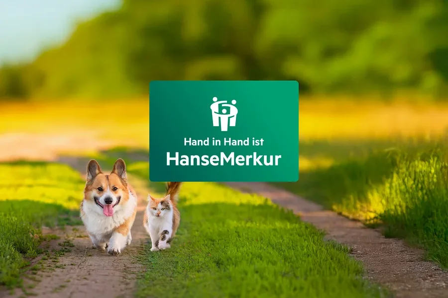 Auf einem grasbewachsenen Weg laufen ein Hund und eine Katze auf ein grünes HanseMerkur-Logo zu.