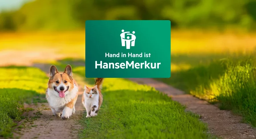 Auf einem grasbewachsenen Weg laufen ein Hund und eine Katze auf ein grünes HanseMerkur-Logo zu.