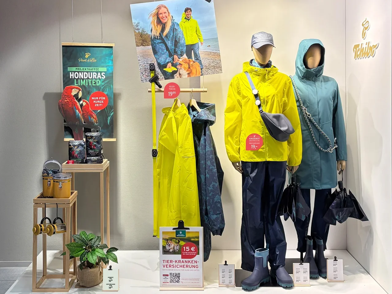 Schaufensterauslage mit zwei Schaufensterpuppen, die gelbe und türkisblaue Regenjacken, dunkle Regenhosen und Stiefel tragen. Die linke Puppe trägt eine Kappe und eine Umhängetasche, die rechte hält einen schwarzen Regenschirm. Daneben hängen weitere Regenjacken und eine gelbe Hundeleine. Ein großes Plakat zeigt zwei Personen mit einem Hund am Strand in ähnlicher Regenbekleidung. Links daneben ein Display mit "Honduras Limited" Kaffee, Kaffeeprodukten und einer Pflanze. Ein Schild wirbt für Tierkrankenversicherung. Das Tchibo-Logo ist sichtbar.
