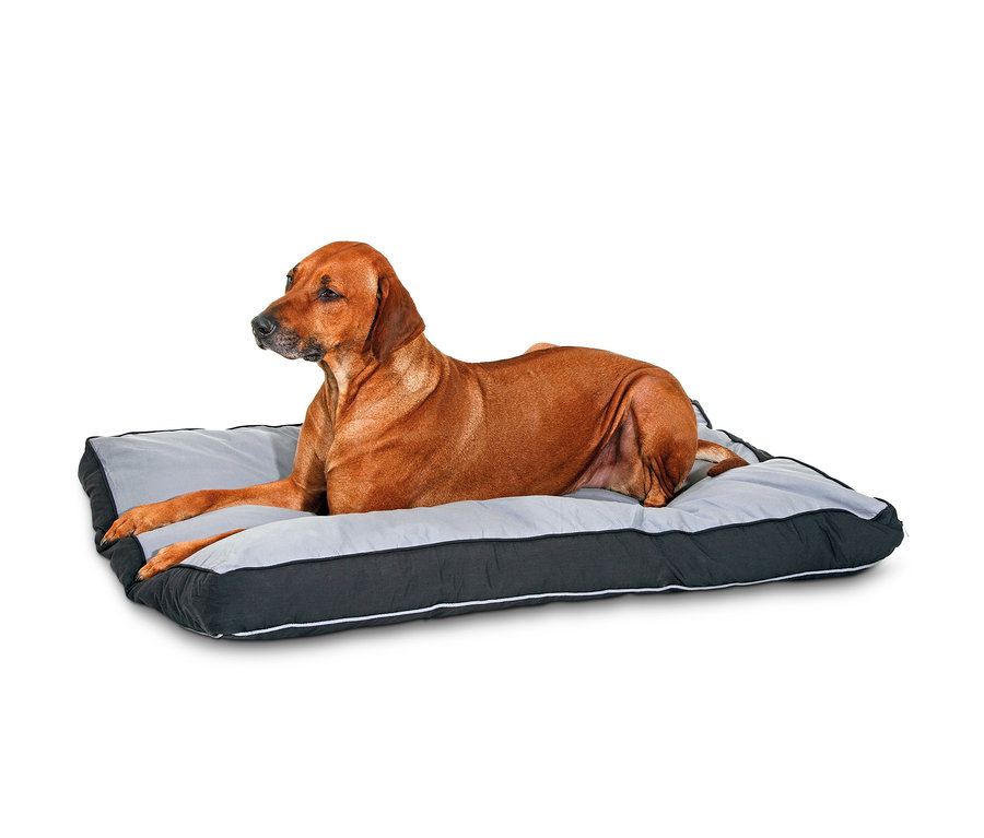 Ein brauner Hund liegt auf einem grau-schwarzen Karlie-Hundebett »Doc Bed«.