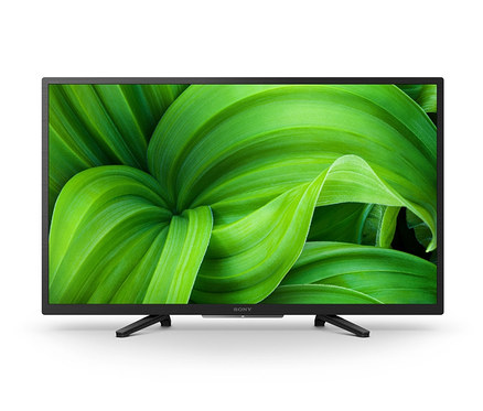 Ein schwarzer Sony-Fernseher zeigt auf dem Bildschirm grüne Blätter.