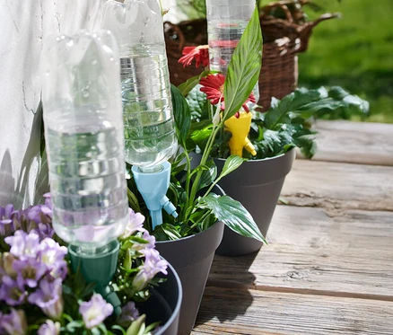 Drei graue Blumentöpfe mit Pflanzen und Wasserflaschen-Bewässerungssystemen stehen auf einer Holzterrasse.
