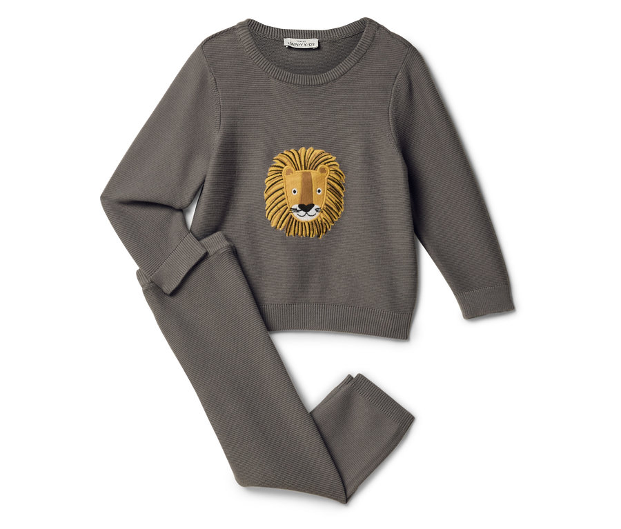 Grauer Pullover und Hose mit Löwenmotiv.