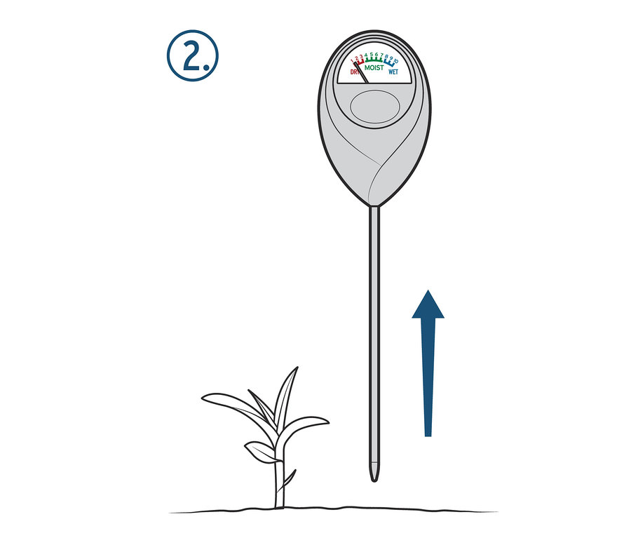 Feuchtigkeitsmesser wird neben einer Pflanze in die Erde gesteckt.