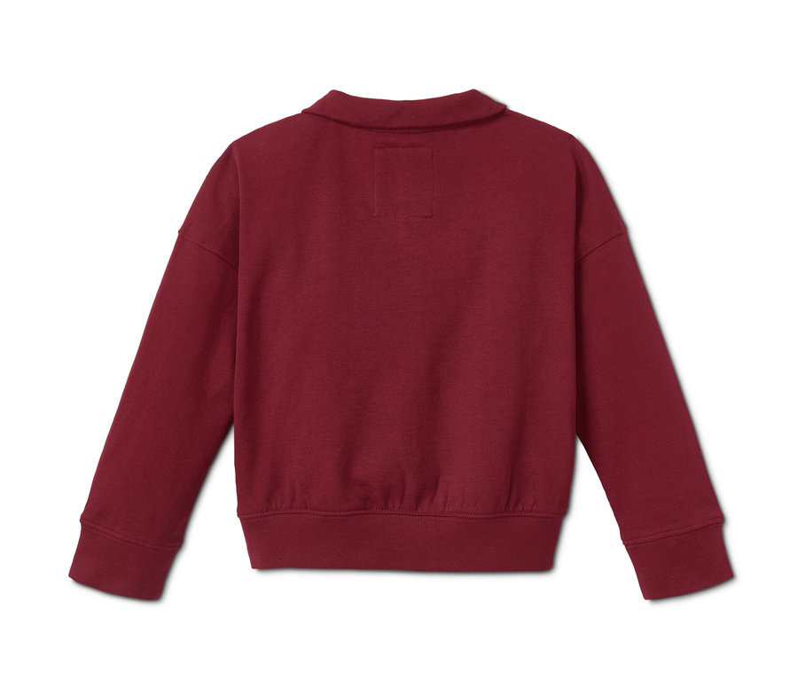 Rückansicht eines Sweatshirts mit Troyerkragen.