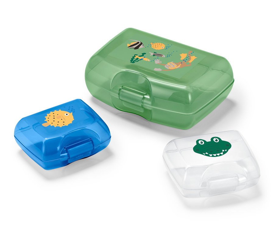 Drei Brotdosen: grün mit Taucher, blau mit Fisch und transparent mit Krokodil.