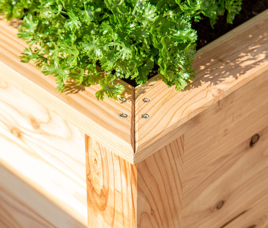 Detailaufnahme einer Ecke eines Hochbeets aus Lärche, 100 cm, mit Pflanzen.