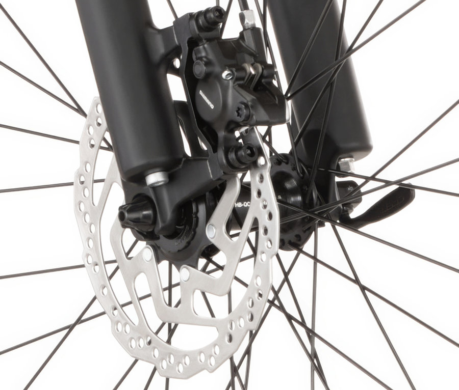 Nahaufnahme des Vorderrads eines FISCHER MTB E-Bike MONTIS MOVE 01 474 D mit Scheibenbremse.
