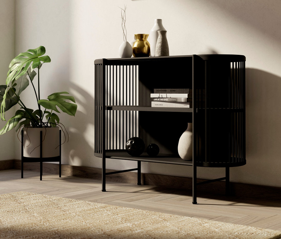 Schwarzes Regal mit Deko-Objekten und einer Zimmerpflanze im Topf auf einem Teppich.