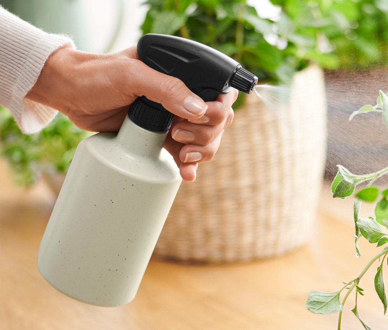 Frau sprüht mit einem Pflanzensprüher Wasser auf eine Pflanze.