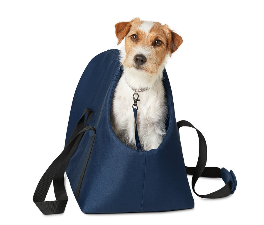 Hund sitzt in blauer Tier-Tragetasche.