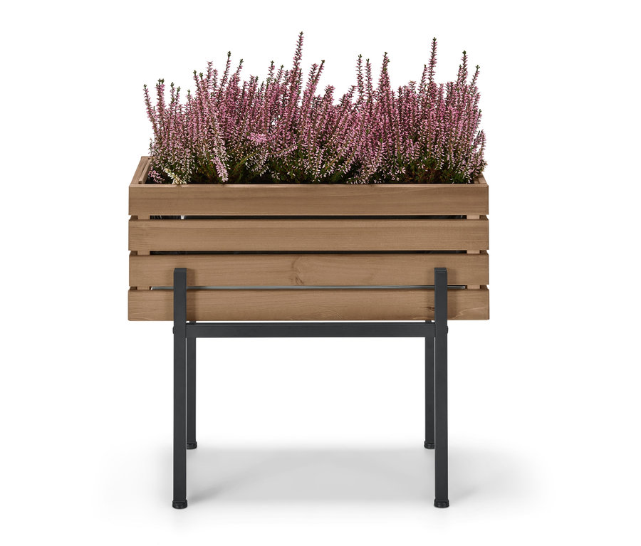 Ein Pflanzkasten »Elin« mit lila Blumen.