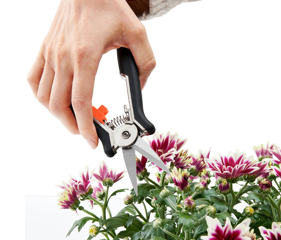 Eine Hand schneidet Blumen mit einer 2 Mini-Pflegescheren.