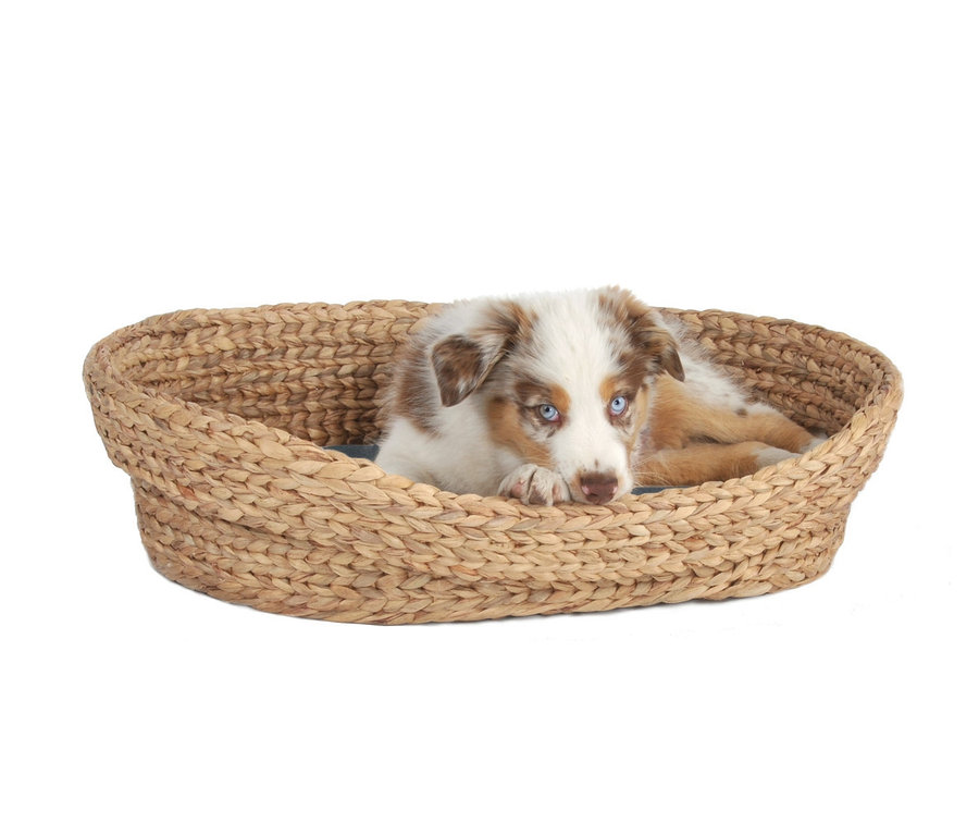 Welpe liegt im großen Weidenkorb-Tierbett "Romy".