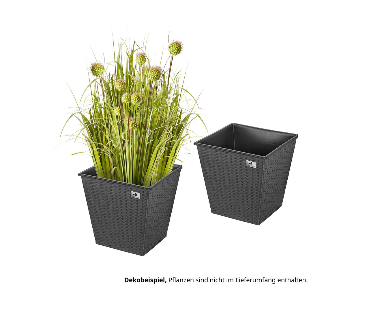 Zwei anthrazitfarbene XL-Pflanzgefäße aus Polyrattan, eines mit Pflanze.