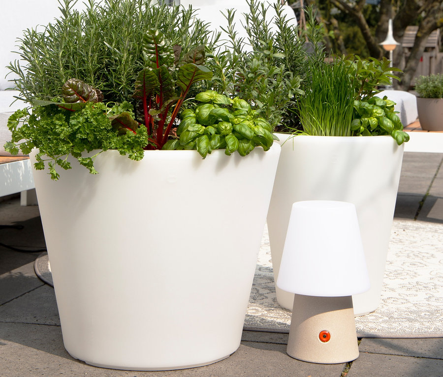 Drei weiße Pflanzgefäße mit Kräutern und eine dekorative Lampe auf einer Terrasse.