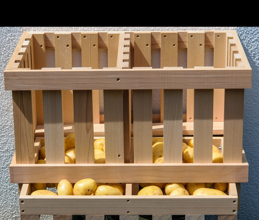 Holz Vorratsbehälter gefüllt mit Kartoffeln an einer Wand.