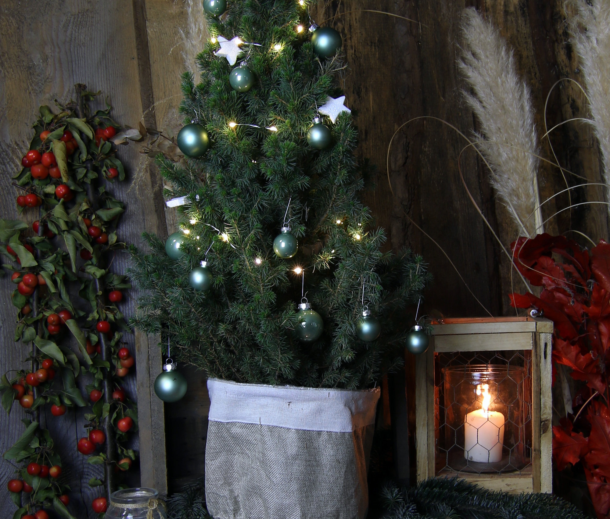 Ein geschmückter, echter, ca. 50 cm grosser, grüner Weihnachtsbaum mit Dekoration steht auf einem Tisch.