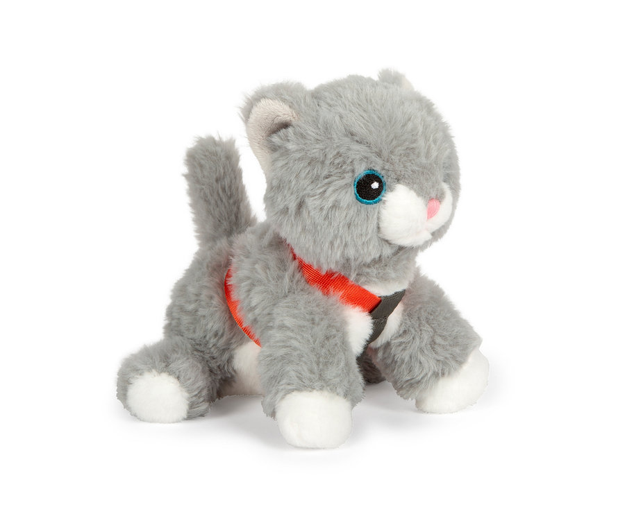 Graue Stoffkatze mit blauen Augen und rosa Nase, die ein rotes Geschirr trägt. Laut Produktliste handelt es sich um eine small foot Katze mit Tasche und Pflege-Set.