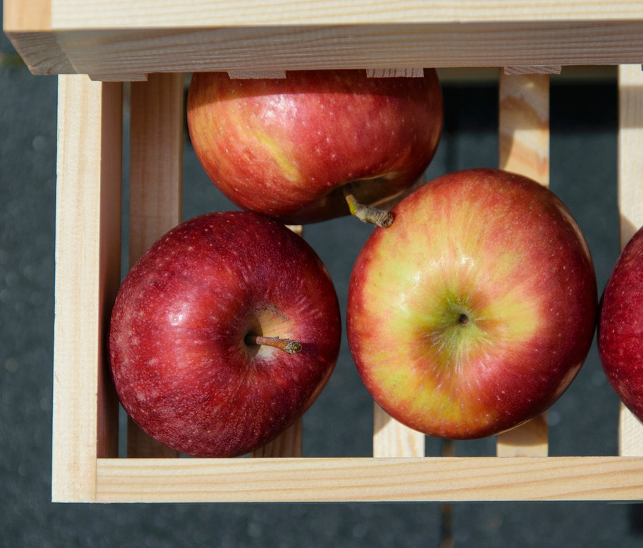Dobar Vorratsregal mit vier roten Äpfeln.