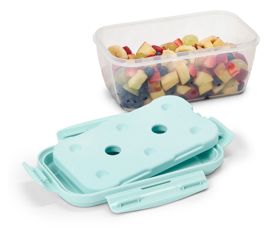 Obstsalat in durchsichtiger Frischhaltedose mit blauem Kühlakku und Deckel.