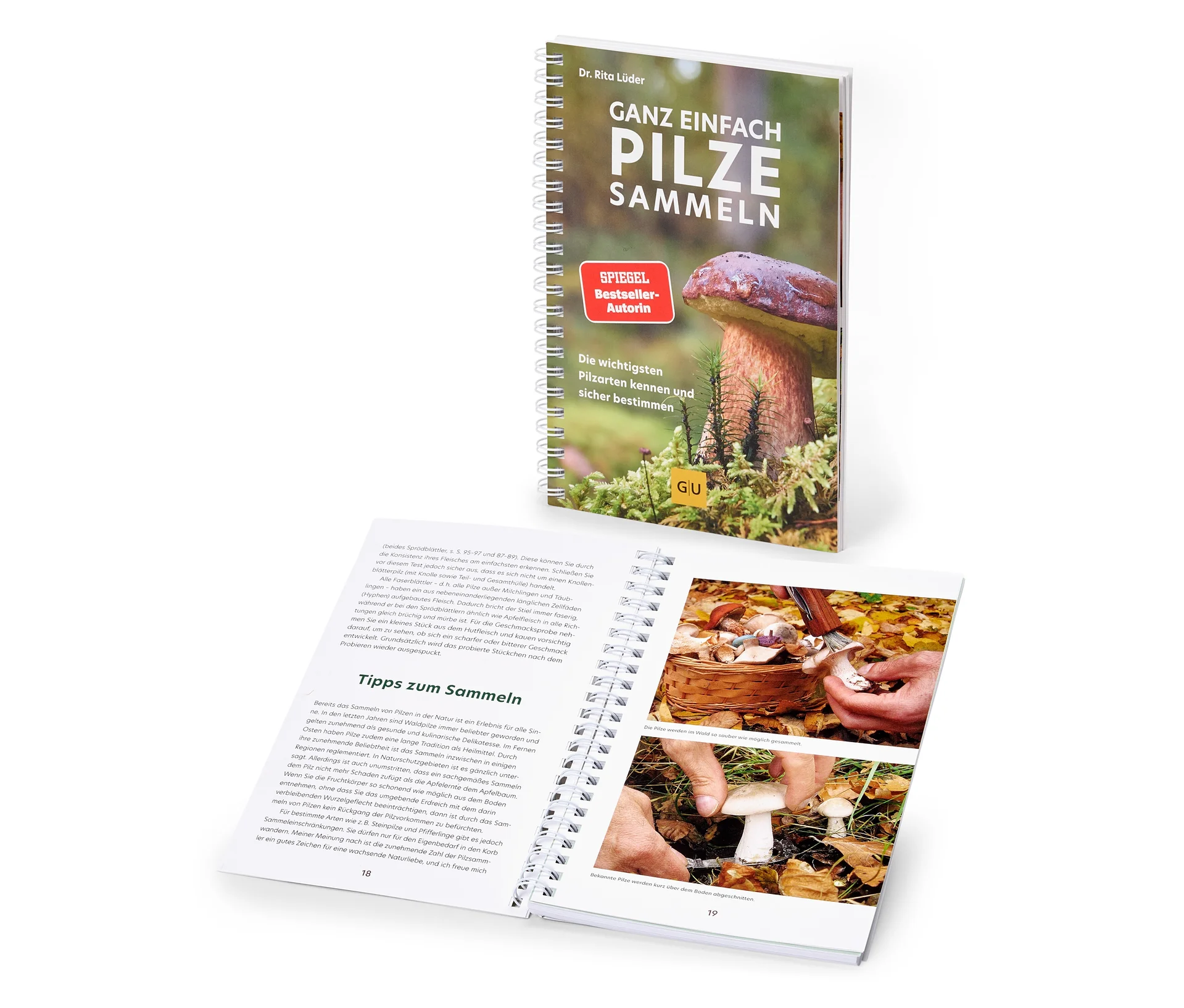 Tchibo - Buch »Ganz einfach Pilze sammeln«