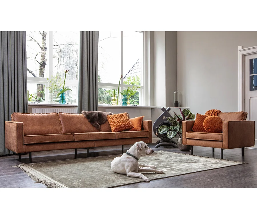 Ein weißer Hund liegt auf einem hellgrünen Teppich in einem Wohnzimmer mit einem cognacfarbenen Sofa, passendem Sessel und orangefarbenen Zierkissen. Große Fenster mit grauen Vorhängen und Pflanzen sind im Hintergrund.