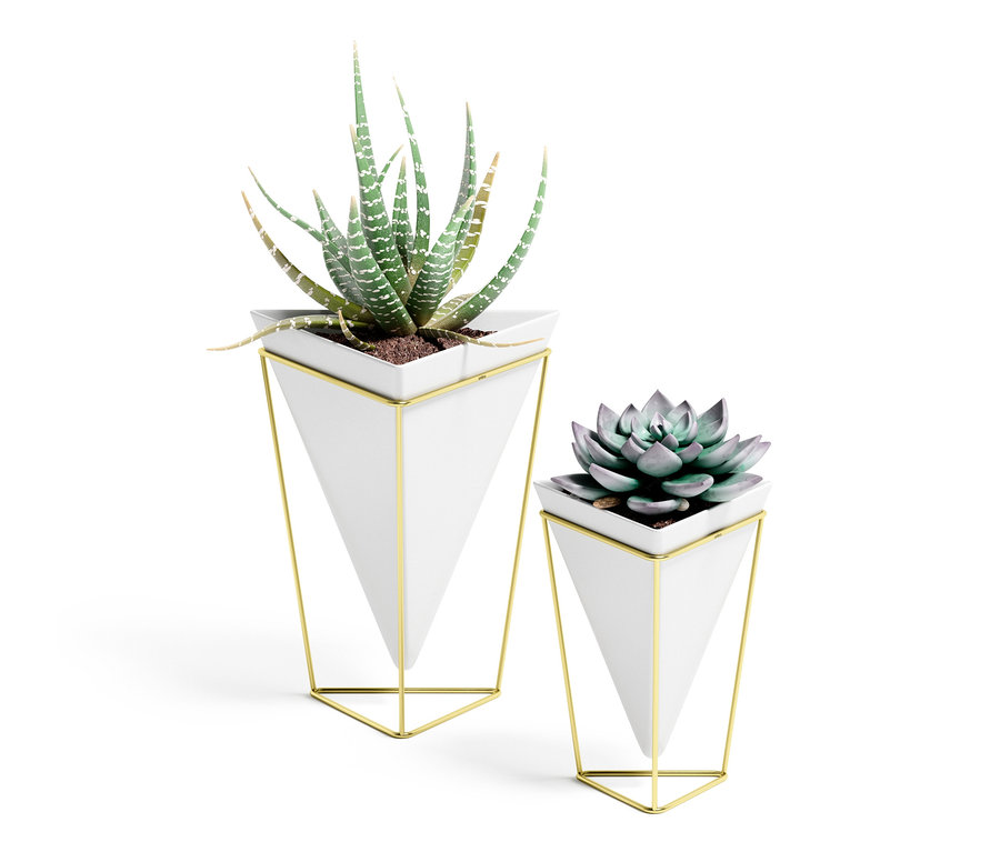 Zwei Tischvasen im Set, eine mit Aloe, die andere mit einer Sukkulente, in weißen Behältern mit geometrischen Goldrahmen.