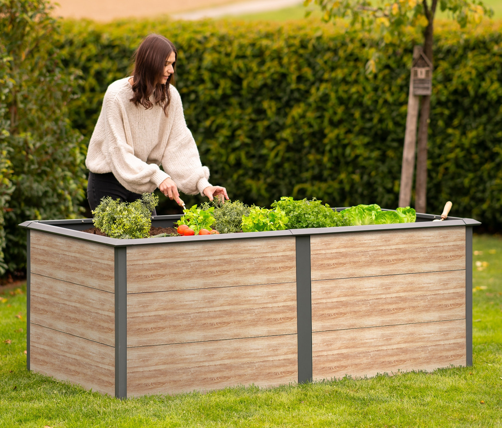 Eine Frau arbeitet in einem Hochbeet mit Schneckenschutz (200 cm, Holzoptik) in einem Garten.