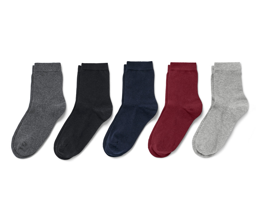 Fünf Paar Socken in verschiedenen Farben von Grau bis Weinrot.