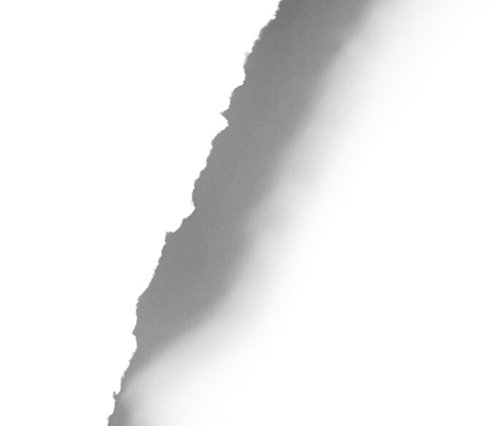 Silhouette einer Dino-Wärmflasche auf weißem Hintergrund.