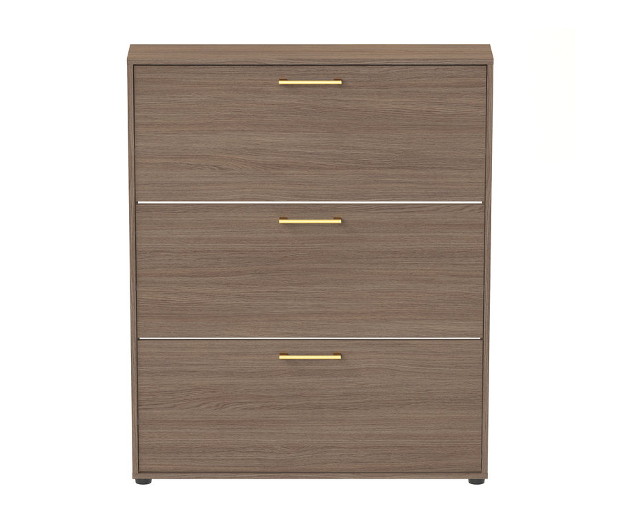 Brauner Schuhschrank #Glenn# mit 3 Klappen und goldfarbenen Griffen.