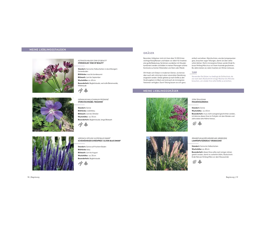 Das Bild zeigt verschiedene Pflanzenarten, darunter Astrantia Major 'Star of Beauty', Geranium Wallichianum 'Rozanne', Veronica Spicata 'Ulster Blue Dwarf', Stipa Tenuissima und Pennisetum Alopecuroides var. Viridescens. Abgebildet ist auch das Buch "Der A bis Z Gartencoach".