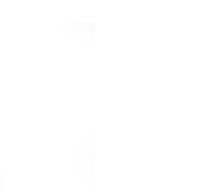 Ein Kurzarmshirt mit einem schwarz-weißem Zebramuster.