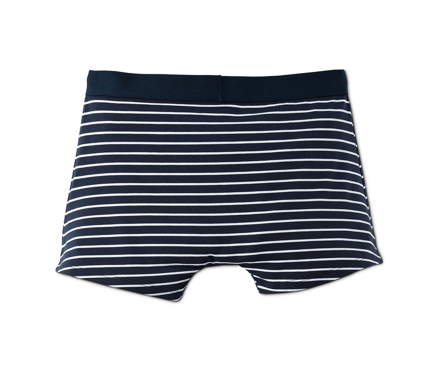 Eine einzelne, gestreifte Slipboxer (5er Pack).