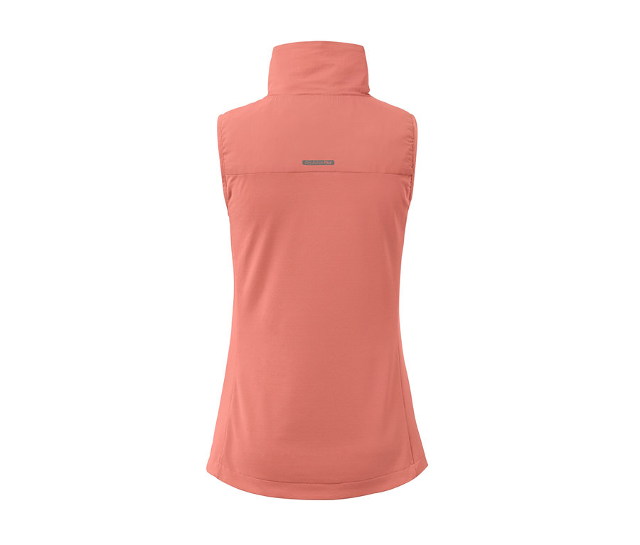 Detailansicht der Rückseite einer rosa Laufweste.