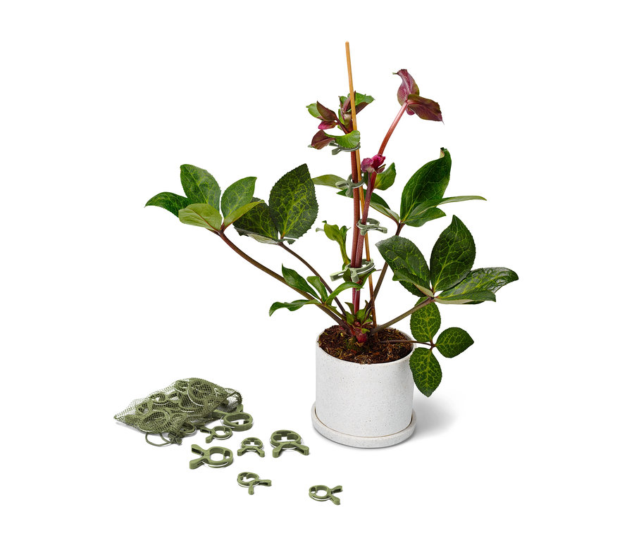 Blume in einem Topf, die mit 20 Pflanzenclips an einem Stiel befestigt ist.