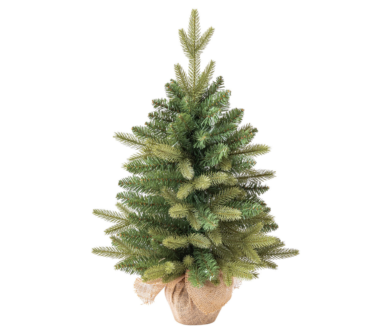 Kleiner, grüner Weihnachtsbaum in einem Jute-Ständer.