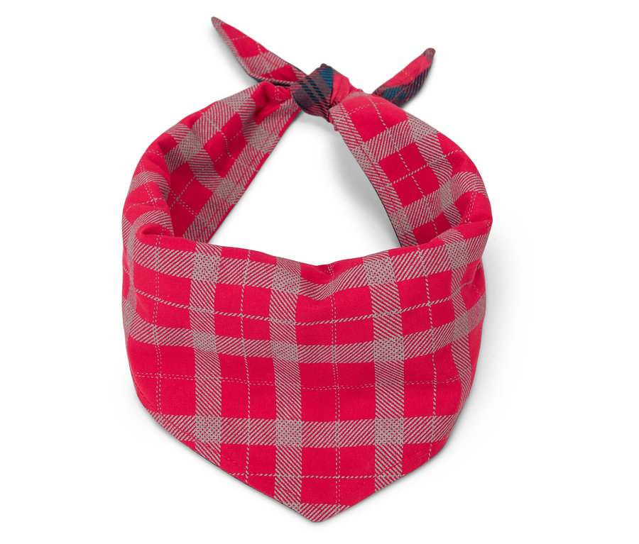 Ein rotes Halstuch mit Karomuster.