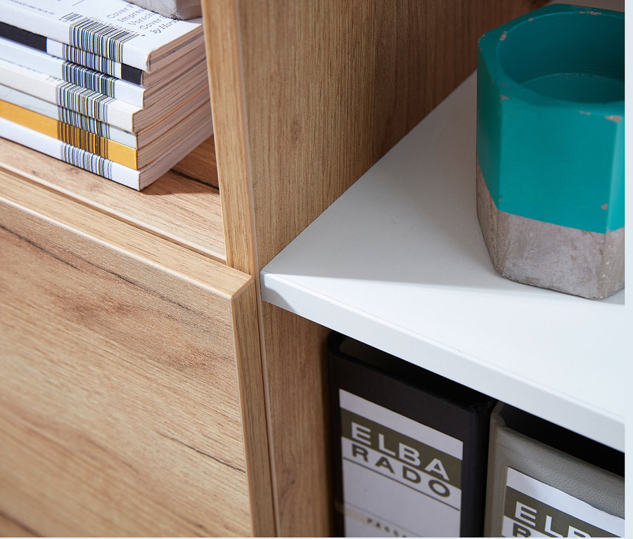 Detailansicht eines Regals »Lioni«, klein, mit Büchern, Ordnern und einem Deko-Blumentopf.