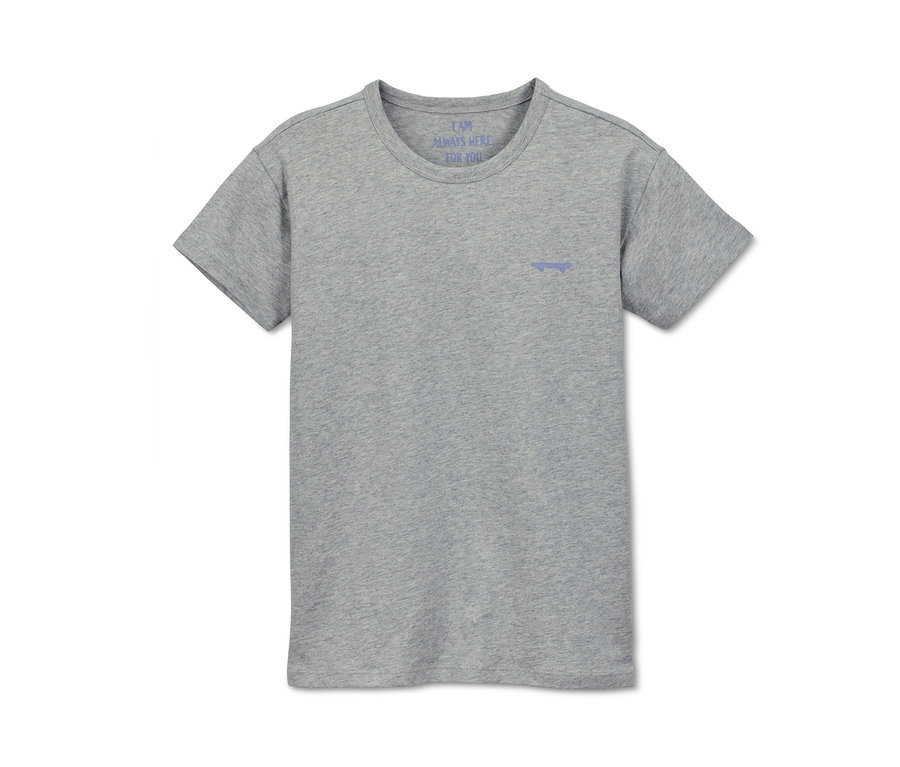 Graues Bio-Baumwoll-T-Shirt mit kurzen Ärmeln und kleinem blauem Logo.