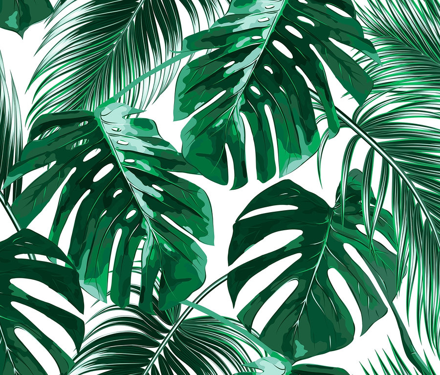 Muster mit Monstera- und Palmenblättern. Designwalls-Fototapete »Palm Leaves«.