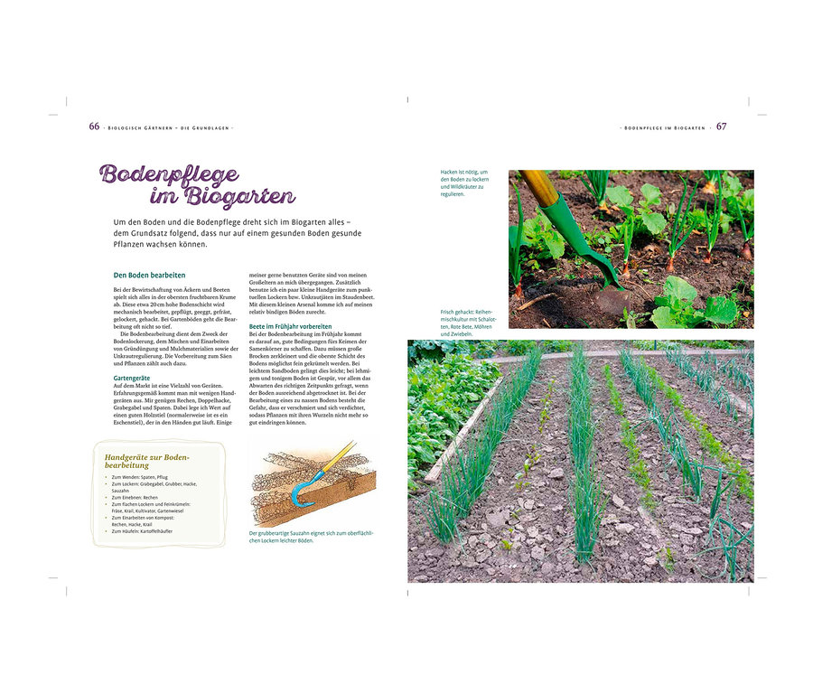Abbildung eines Gartenbuchs mit Werkzeug und Gemüse. Zu sehen ist das Buch: »Das große Ulmer Biogartenbuch«